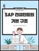 SAP 컨설턴트의 기본 구조: 모듈·프로세스·전달체계의 공통 규칙