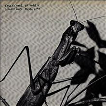 Bright Eyes - Noise Floor (Rarities: 1998-2005)(CD) | Bright Eyes