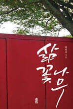 삶꽃나무 (큰글자도서)