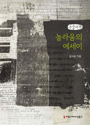 놀라움의 에세이 (큰글자책)