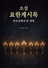 소설 요한계시록