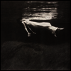 Bill Evans/Jim Hall - Undercurrent (Ltd. Ed)(180G)(LP)