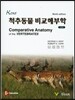 척추동물 비교해부학