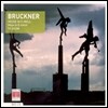 Heinz Rogner 브루크너: 미사 E단조, 테 데움 (Bruckner: Mass in E Minor 1882 ver., Te Deum 1884)