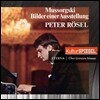 Peter Rosel 무소르그스키: 전람회의 그림 (Mussorgsky: Pictures at an Exhibition)