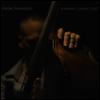 Avishai Cohen Trio - From Darkness (Vinyl LP)