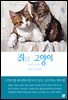쥐와 고양이