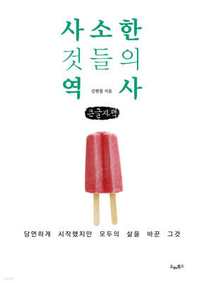 사소한 것들의 역사 (큰글자책)