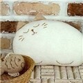 잠자는 고양이 쿠션 DIY