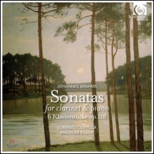 Lorenzo Coppola / Andreas Staier 브람스: 클라리넷 소나타, 피아노 소품 (Brahms: Clarinet Sonatas, Piano Pieces Op.118)