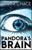 Pandora's Brain