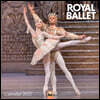 Royal Ballet Wall Calendar 2027 (Art Calendar)