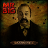 Mr. Big - Stories We Could Tell (Ltd. Ed)(Vinyl 2LP)