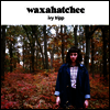 Waxahatchee - Ivy Tripp (Download Card)(Vinyl LP)
