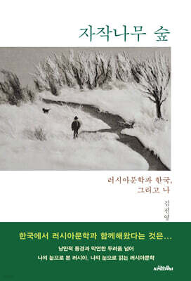 자작나무 숲