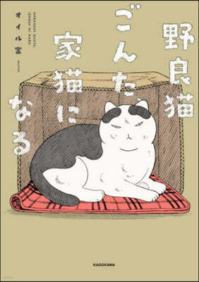 野良猫ごんた,家猫になる