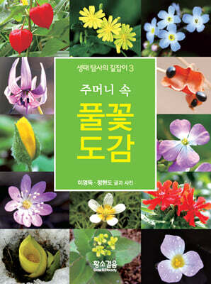 주머니 속 풀꽃 도감