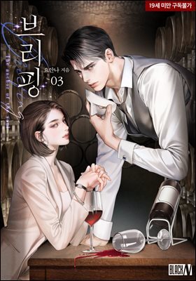 브리핑 3권