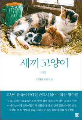 새끼고양이