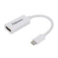 펠로우즈 C타입 TO HDMI 컨버터 98829