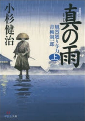 風烈廻り輿力.靑柳劍一郞(30)眞の雨 上