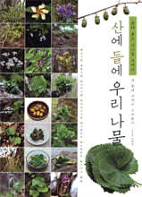 산에 들에 우리 나물