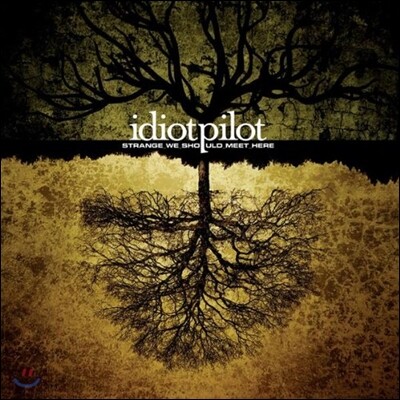 Idiot Pilot (이디엇 파일럿) - Strange We Should Meet Here