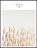 시리얼 CEREAL vol.4
