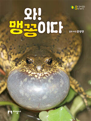 와! 맹꽁이다