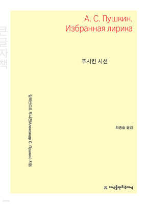 푸시킨 시선 (큰글자책)