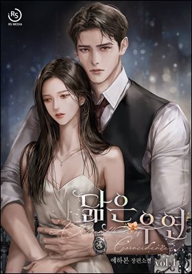 닮은 우연 1권