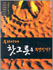우리시대 찻그릇은 무엇인가