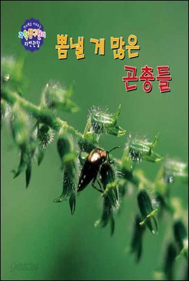 창의력을 키워주는 과학탐구원리 자연관찰 34 뽐낼게 많은 곤충들 