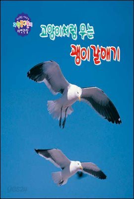 창의력을 키워주는 과학탐구원리 자연관찰 39 고양이처럼 우는 괭이갈매기 
