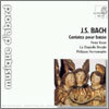 바흐 : 베이스를 위한 칸타타 - 헤레베헤, 피터 쿠이 (Bach : Cantata for Solo Bass)