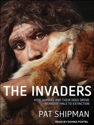 The Invaders