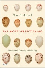 The Most Perfect Thing: Inside (and Outside) a Bird's Egg