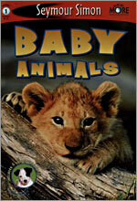 See More Level 1 : Baby Animals