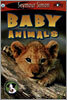 See More Level 1 : Baby Animals