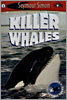 See More Level 1 : Killer Whales