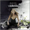 Sheryl Crow - Wild Flower