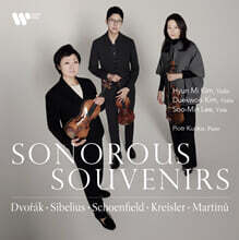 Sonorous Souvenirs (울림의 잔상 - 호흡과 공명이 머문 시간)