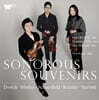 Sonorous Souvenirs (울림의 잔상 - 호흡과 공명이 머문 시간)