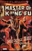 Master Of Kung Fu: Battleworld