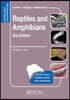 Reptiles and Amphibians