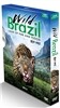BBC 와일드 브라질 (1Disc)