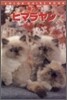 「猫クラブ」 ヒマラヤン