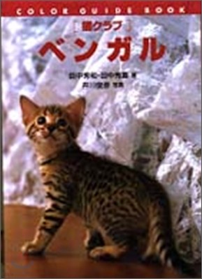 「猫クラブ」 ベンガル