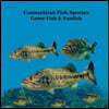 Connecticut Game Fish and Panfish Species Kids Book: Great Book About the Different Types of Fish in Connecticut
