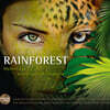 Mulo Francel / Martina Eisenreich / Wolfgang Lohmeier (뮬로 프란첼 / 마르티나 아이센라이히 / 볼프강 로마이어) - Rainforest: Hommage to an Endangered Treasure
